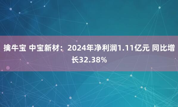 擒牛宝 中宝新材：2024年净利润1.11亿元 同比增长32.38%